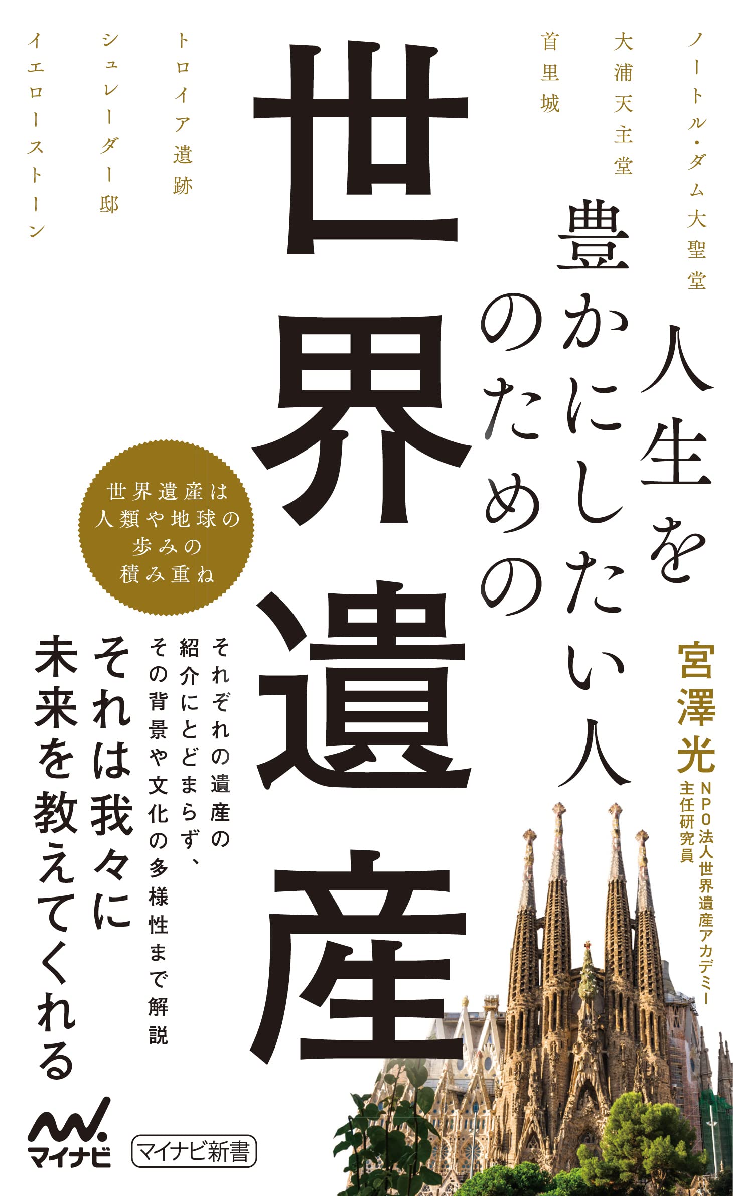 人生を豊かにしたい人のための世界遺産 (マイナビ新書) | 宮澤光 |本